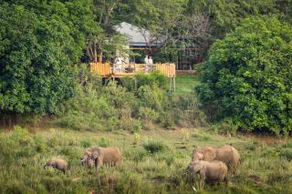 Elephant Walk Tented Camp - 7