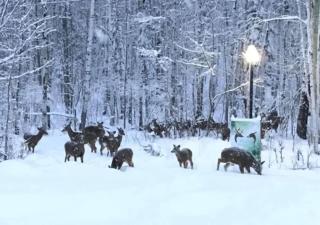 Grand Havre, parfait pour grands rassemblements - 7