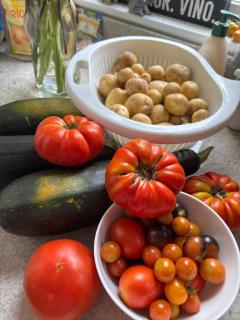 Boston cozy studio walk to train and buses in good neighborhood - 9