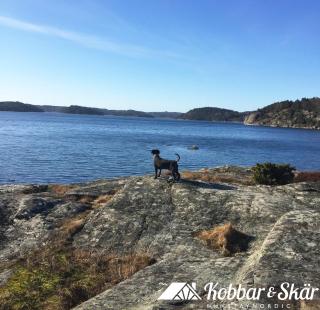 Villa with sauna, 650 m to the beach SE09135 - 5