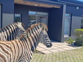 Romansbaai Beach House - Gansbaai - 9