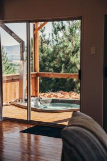 Kingfisher Cabin at Vrolikheid Landgoed - 5