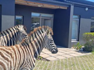 Romansbaai Beach House - 9