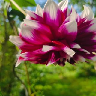 One-room apartment near Rheine Lingen - 7