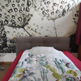 One-room apartment near Rheine Lingen - 5