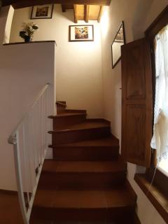 Zinfarosa Color Home - 9