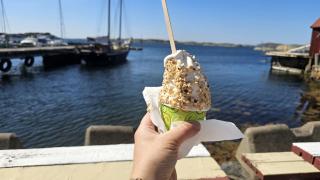 Cozy cottage near Hälleviksstrand SE09132 - 5