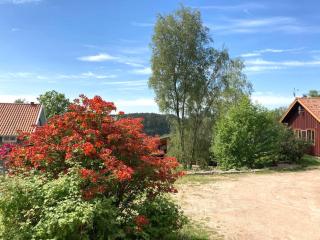 Large villa near the lake with rowing boat SE09131 - 2