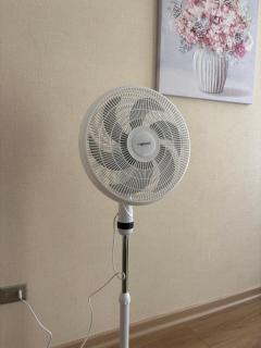 Departamento villarrica para 4 personas - 6