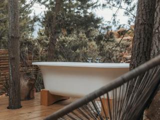 Woodpecker Cabin at Vrolikheid Landgoed - 4