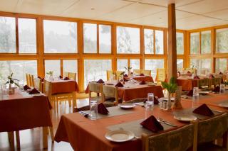 Dragon Nest Resort - 7