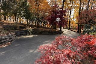 Starry Nights - Unforgettable Views Steamy Hot Tub Game Room More - Jasper - 1