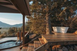 Swallow Cabin at Vrolikheid Landgoed - 4