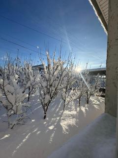 Sunny Valley Guest House Karakol - 6