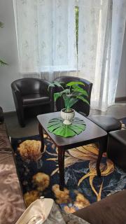 Dviejų kambarių butas Kauno centre - 4