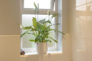 Cambridge Charming 2 Bedroom Home I Rustic Floors & Office I Parking - 9