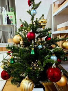 하루스테이 신림동 - Seul - 0