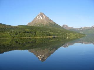 Moose Island- Lofoten, Tromsø, Senja - 3