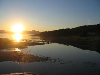 Moose Island- Lofoten, Tromsø, Senja - 8