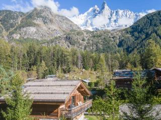 Luxueux Chalet avec Spa et Vue sur Mont Blanc - FR-1-343-253 - 3