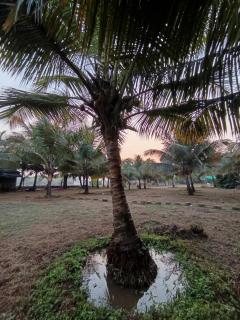 Hotel River Point - 7