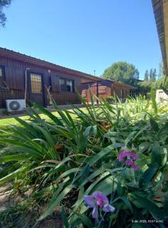 Cabañas Viña Aliwen - 4