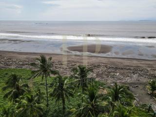 Luxury Beachfront in Playa Tivives, Puntarenas with Ocean Views,Pool - 7