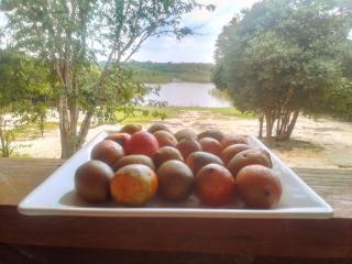 Pousada praia e sol - 7