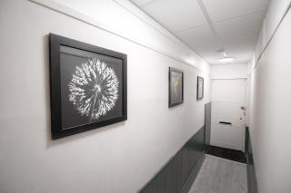 Stylish 2BD, Near O2, WIF, Sleeps 6, London - 9