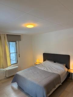 3 bedrooms apartment in Fionnay - 6