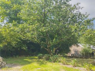 Gite Vivre à Notre Essentiel - 3