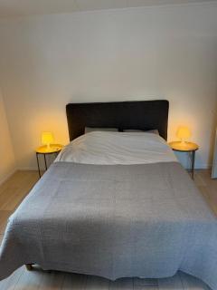 3 bedrooms apartment in Fionnay - 0