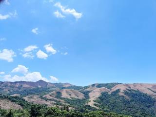 Greenhills Homestay - 7