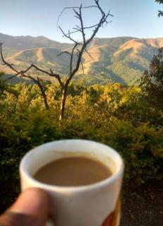 Greenhills Homestay - 1