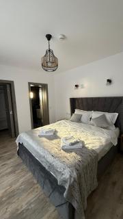 Pensiunea Seraris - 8