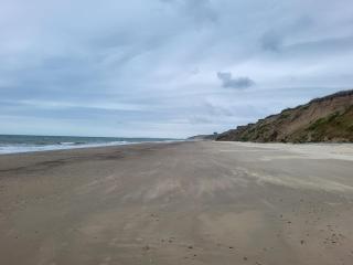 Sunny south east in Wexford - 0