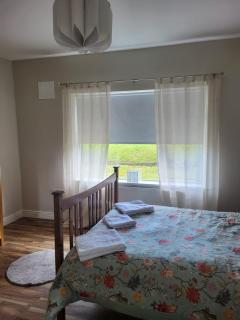 Sunny south east in Wexford - 7