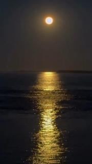 alquileres temporarios corrientes - 6