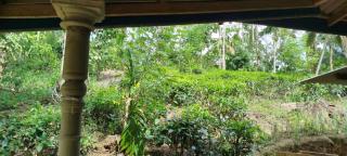 Sinharaja Tour Guide - 5