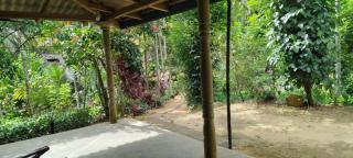 Sinharaja Tour Guide - 4