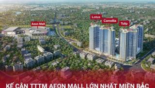 Hoàng Huy Commerce Võ Nguyên Giáp Enny Homestay - 1