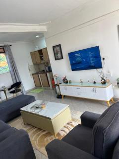 Green vee apartment - 4