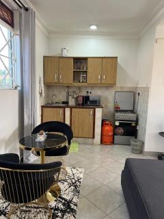 Green vee apartment - 1