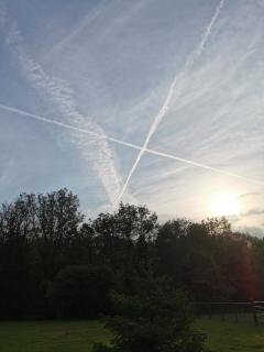 Wellstone Cottages Pembrokeshire 5 Cottages 3 Hot Tubs Sleeps 30 For Group Getaways - Llanfyrnach - 6