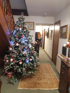 Song of the Sea, Selkie House - 8