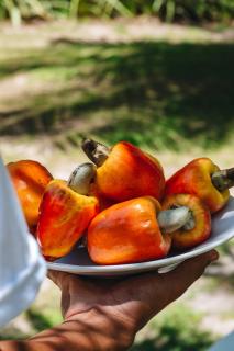 Villas Taturé - São Miguel dos Milagres - 1