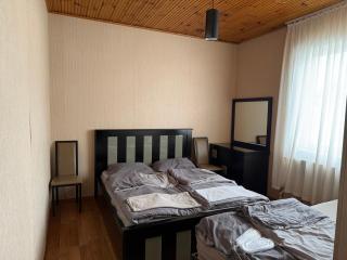 Home in Bakuriani - 6