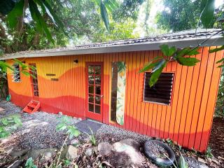 La Casa de Vida Natural - 2