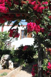 Casa Rural Anton Piche with Pool-Adults Only - Granadilla de Abona - 9