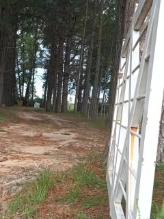 complejo cumelen - 5